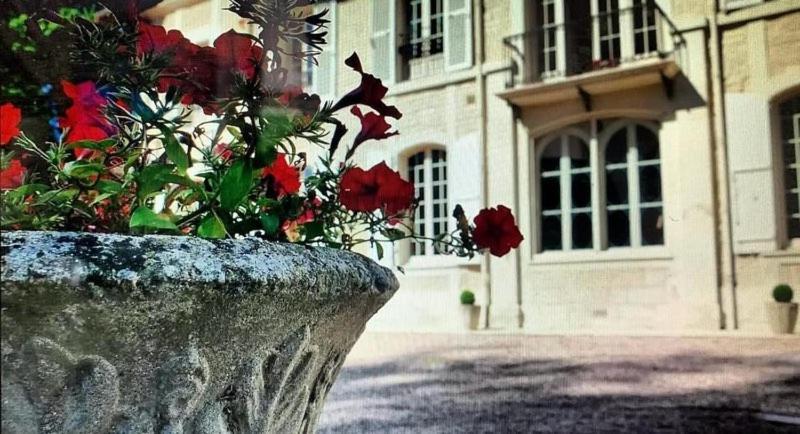 Château Du Mesnil Soleil , Et D'hôtes * Damblainville