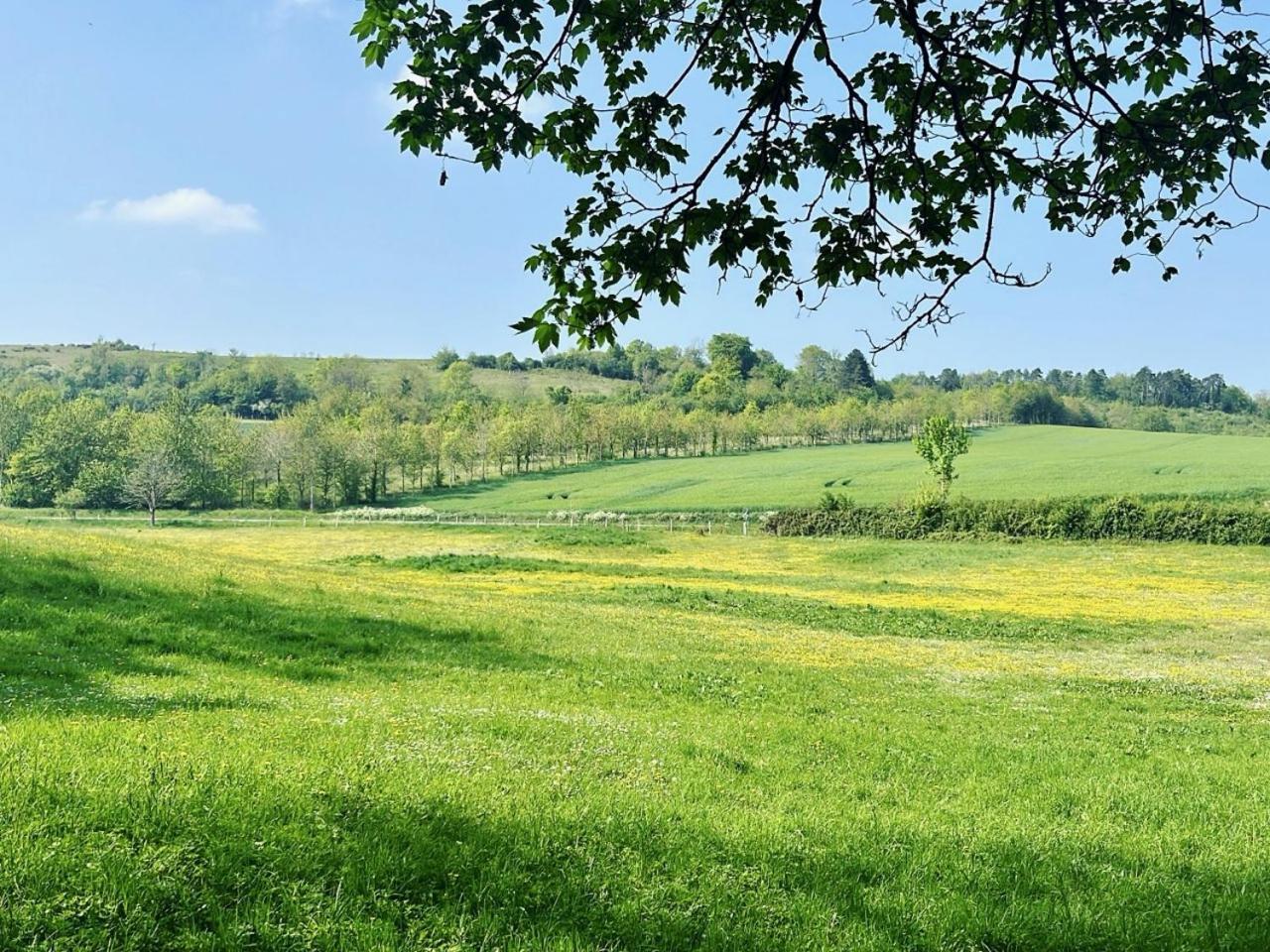 Château Du Mesnil Soleil , Et D'hôtes Damblainville
